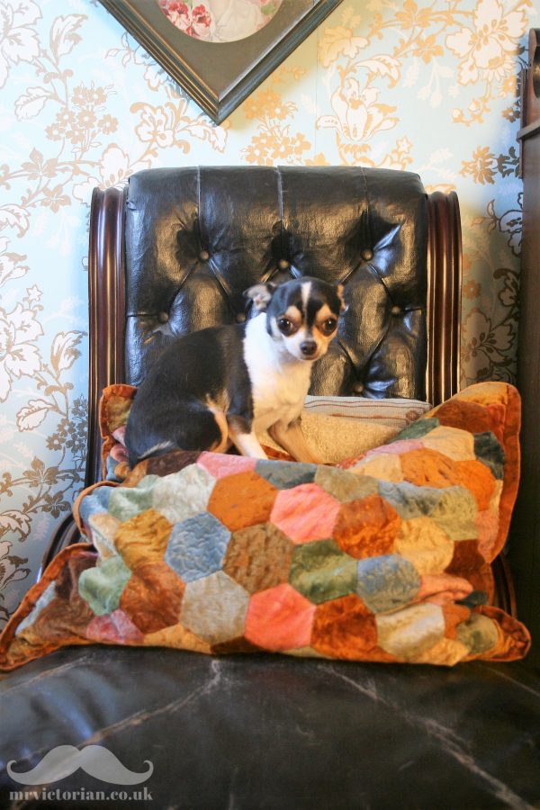 Victorian patchwork cushion vintage chihuahua dog Georgie
